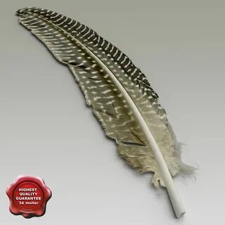 Feather 3d