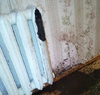 Лопнул радиатор отопления