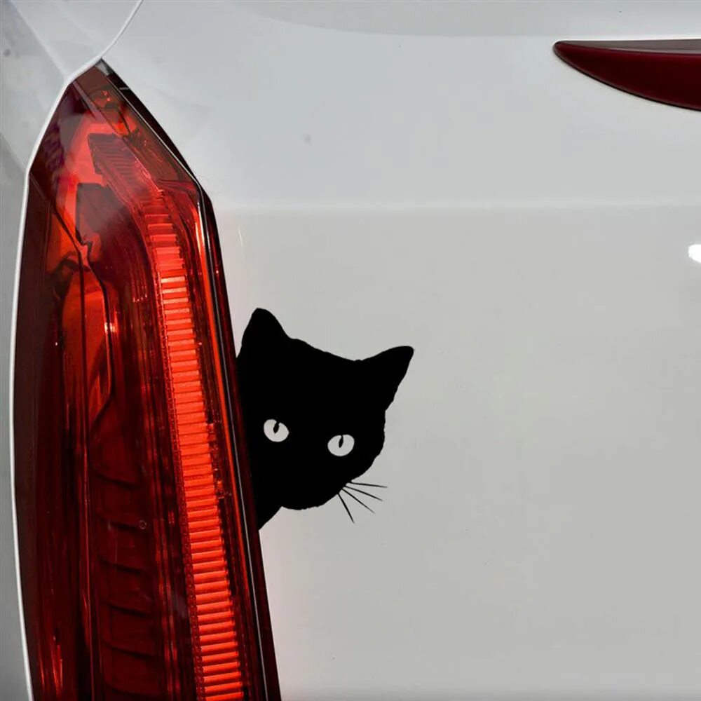 Black cat car