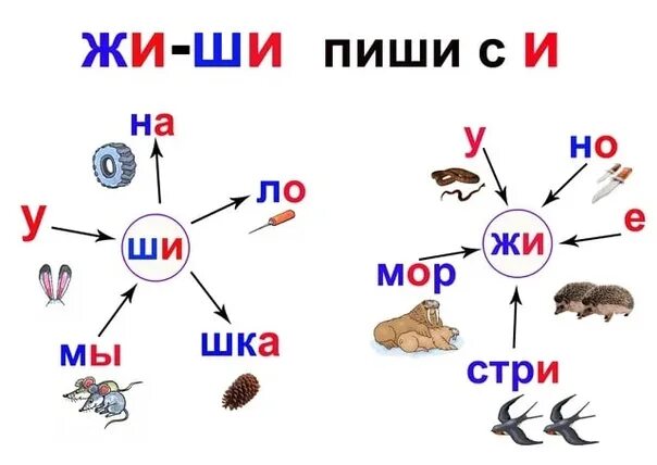 Жи ши задания для дошкольников. Чтение слов с буквой ж для дошкольников. Чтение слогов с буквой ш. Жи ши задания 1 класс.