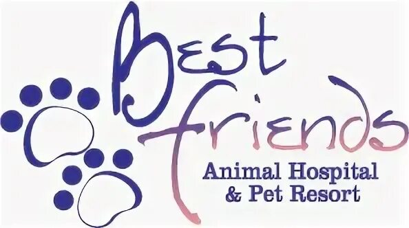 Friends for Pets внутри. Friends for Pets гостиница. Pets friends Внуково.