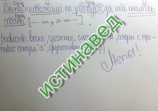 Поляну большими скачками пересекала белка 4. Синтаксический разбор предложения белка. Белка синтаксический разбор. Синтаксический разбор предложения белка пробилась сквозь снег.