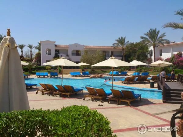 Джаз шарм дримс 5. Джаз шарм дримс 5. Jaz sharm dreams 5 шарм-эль-шейх. Jaz sharm dreams 5* отель. Jaz sharm dreams 5* отель.
