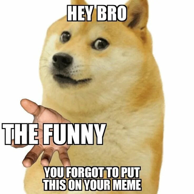 Where is funny. You forgot the funny. You funny. You forgot the funny Мем.