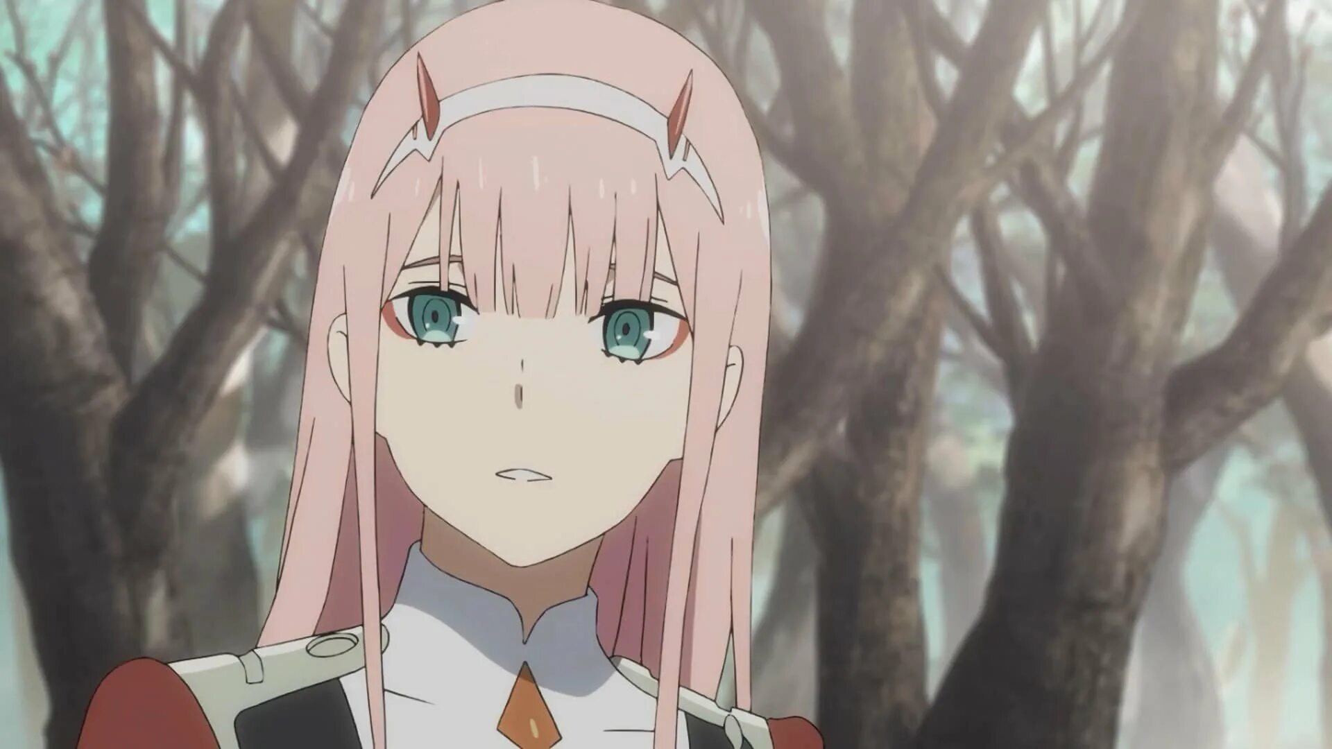 Любимый во франксе 2. Zero two Франкс.