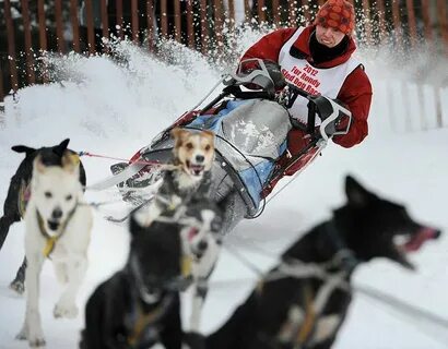 Sled race