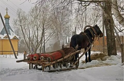 Сани телега