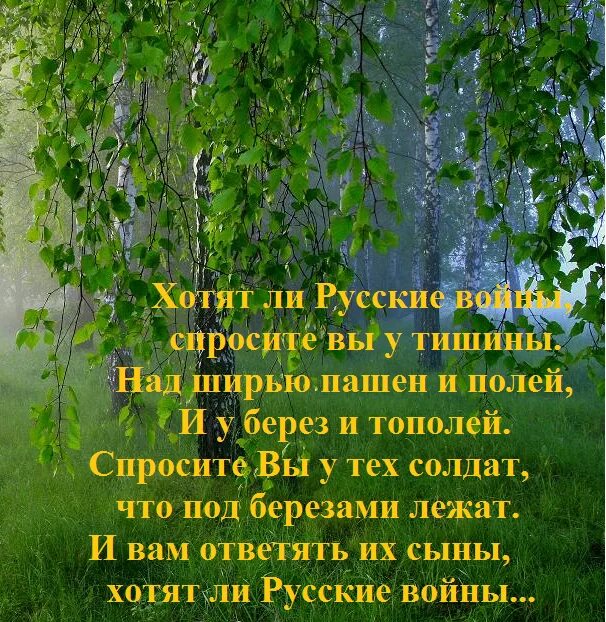 Хотят ли русские войны идея. Хотят ли русские войны стихотворение. Стих хотят ди руские войны. Хотя ли русские войны стих. Хотят ли рксске войны Стиз.