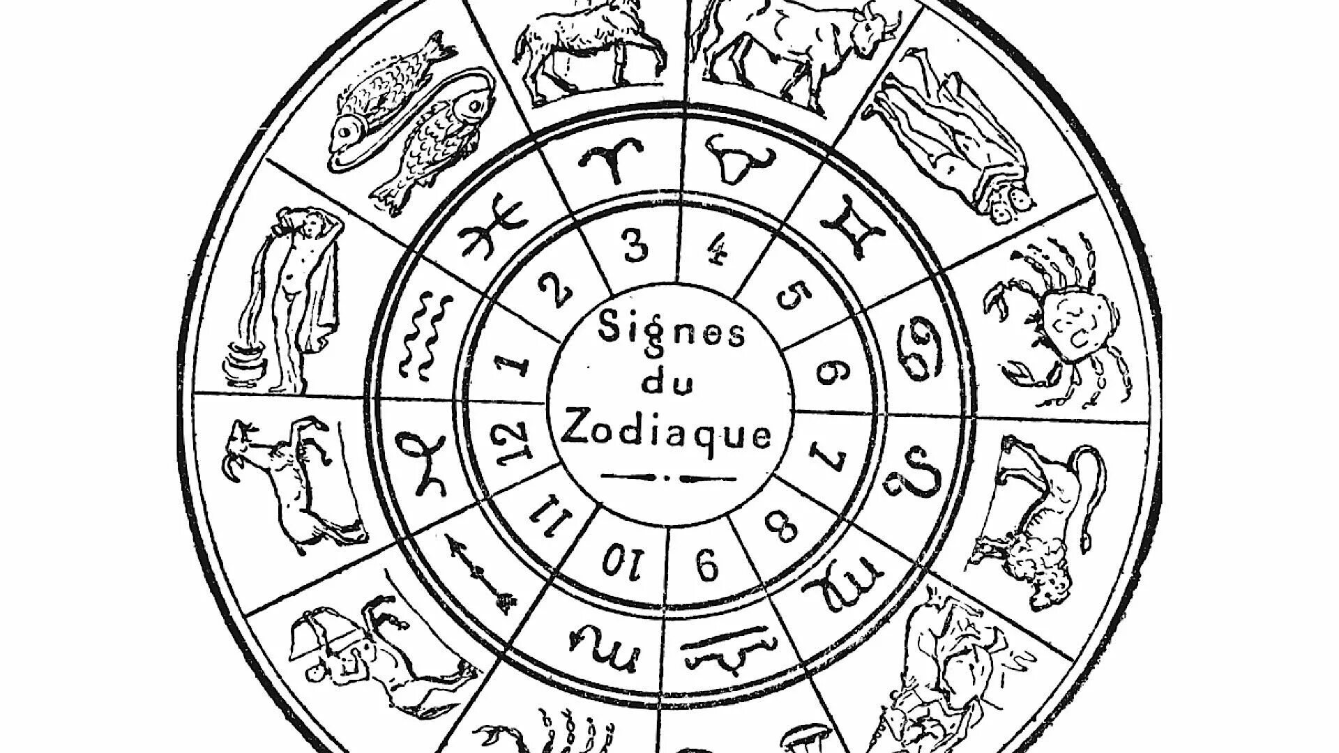 Зодиакальный круг. Зодиакальный круг знаков по месяцам. Зодиакальный круг рисунок. Знаки зодиака рисунки.