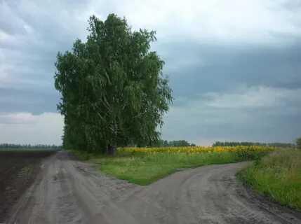 Дорога любви 8