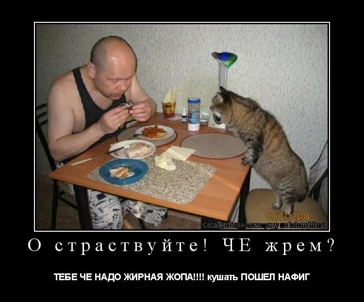 Кушать нету. Кушать нету