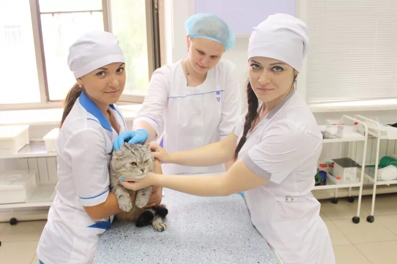 Техникум геодезии и картографии новосибирск. Колледжи после 9 геодезия. Техникум геодезии и картографии москва. Колледжи после 9 геодезия. Колледжи после 9 геодезия.