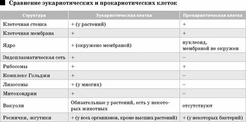 Прокариотическая клетка характеристика таблица