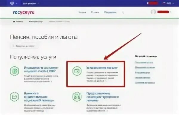 Информация о размере пенсии. Как узнать пенсию на госуслугах. размер пенсии на госуслугах. как узнать размер пенсии на госуслугах.