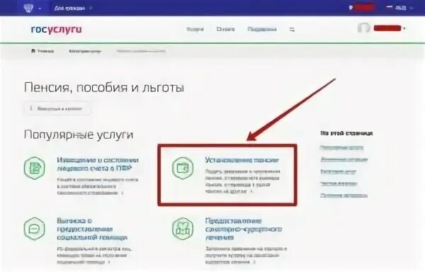 Как узнать сколько начислено пенсии в госуслугах. Как узнать пенсию на госуслугах. Размер пенсии на госуслугах.