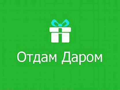 Приложение отдам