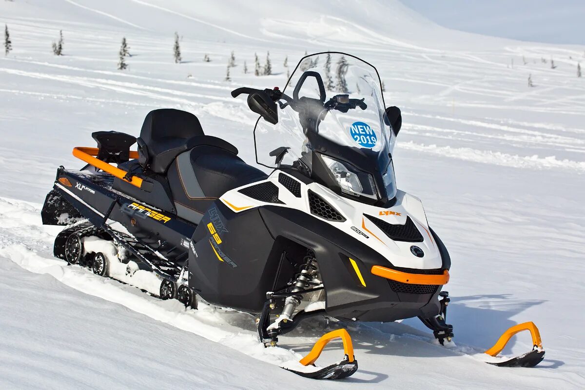 Купить снегоход скандик 900. Lynx 69 Ranger 900 Ace. Снегоход BRP 600. БРП Линкс 69 рейнджер 900 асе. Снегоход Линкс 600.