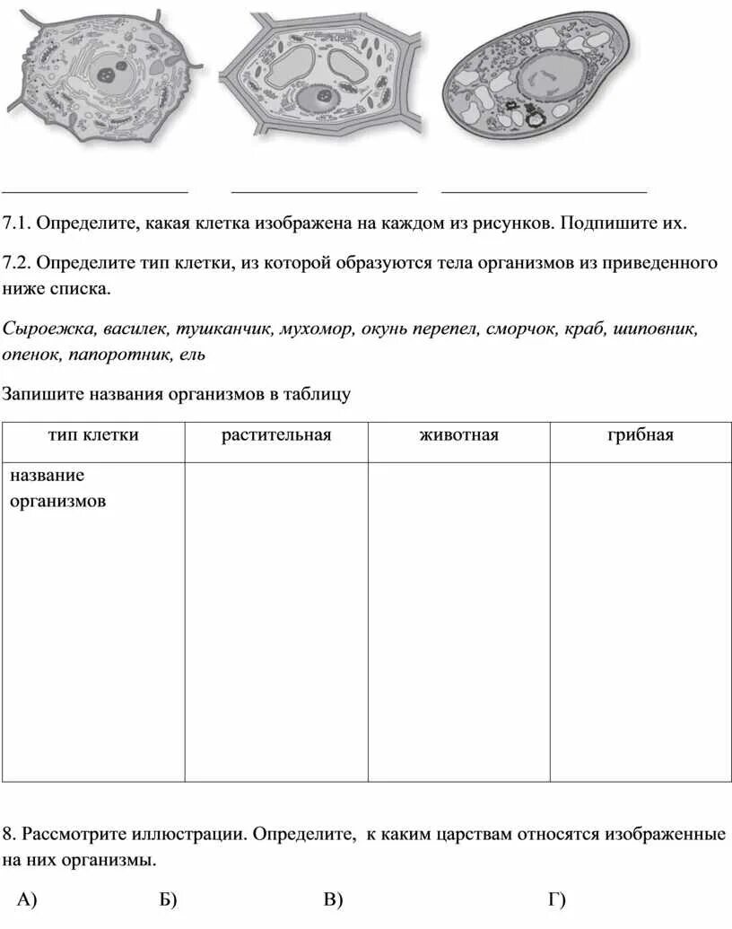 Рисунок растительной клетки 6 класс биология впр. Какая клетка изображена на рисунке. На рисунке изображена растительная клетка. Определите какая это клетка. 3. Определите какая клетка изображена на рисунке и подпишите её части.