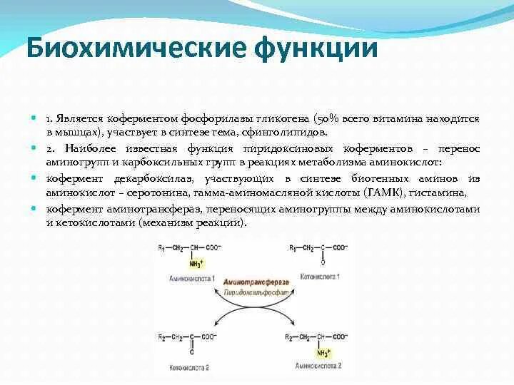 Функции биохимии. Фосфорилаза гликогена. Биохимические функции. Фосфорилаза мышц.