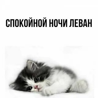 Спокойной ночи насте