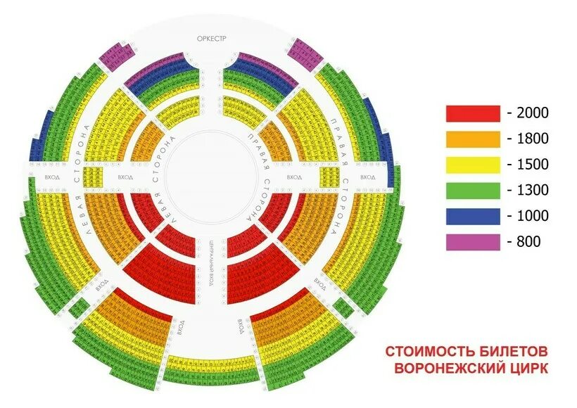 Тульский цирк схема зала. Схема арены тульского цирка. Цирк Новосибирск схема зала. Цирк Казань схема зала.