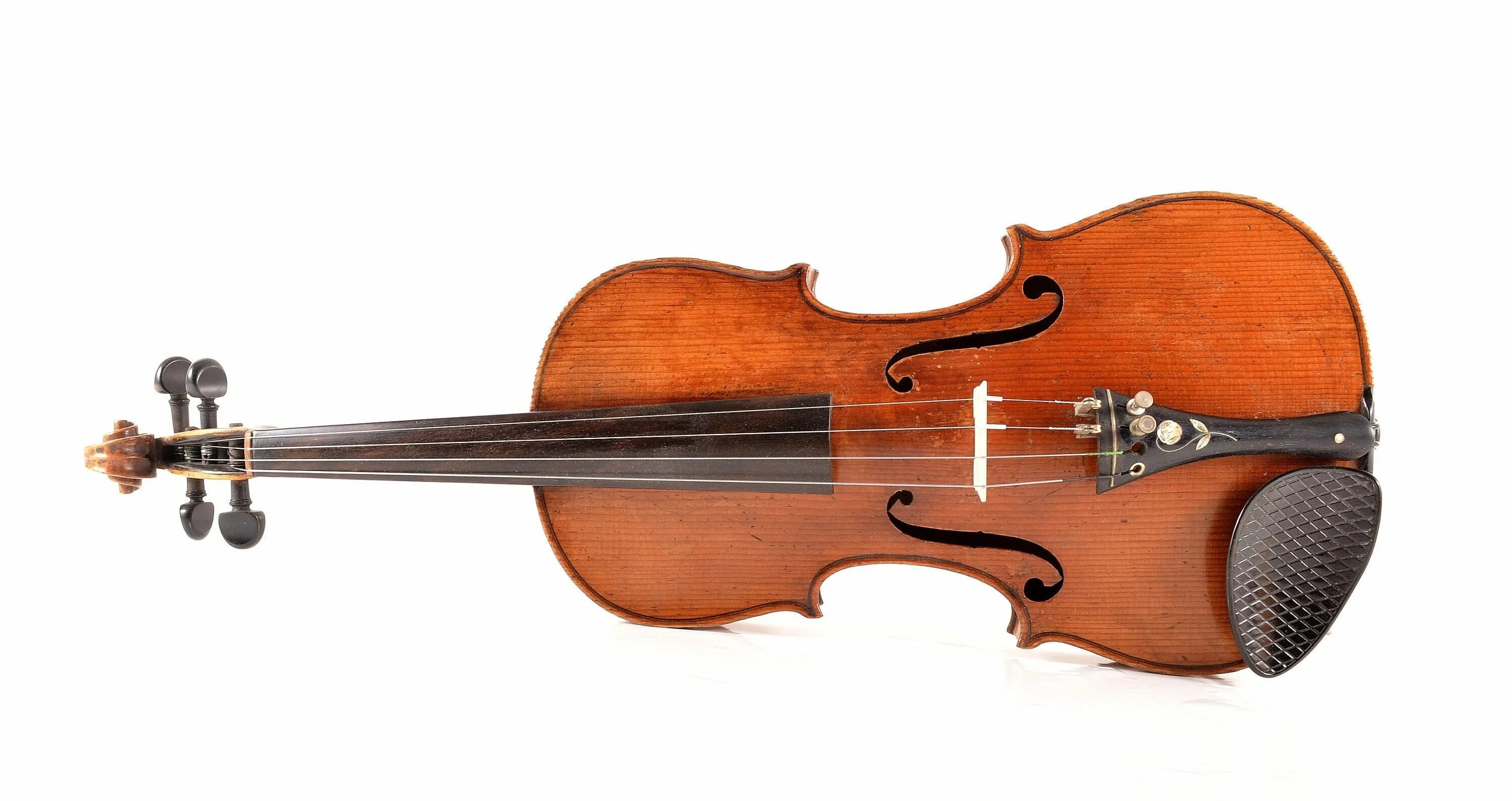 Violin kontakt. Скрипка крупно. Violine.