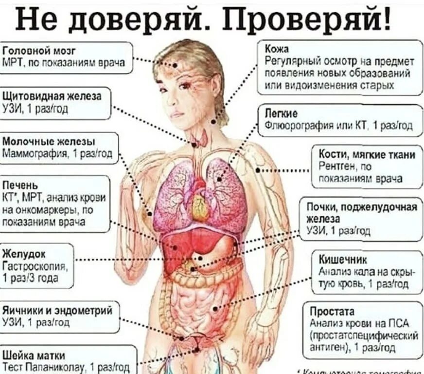 Может ли это быть рак. Болезни внутренних органов. онкология заболевания. симптомы раковых заболеваний.
