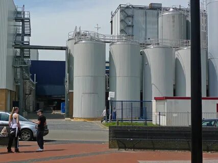 Milk plant