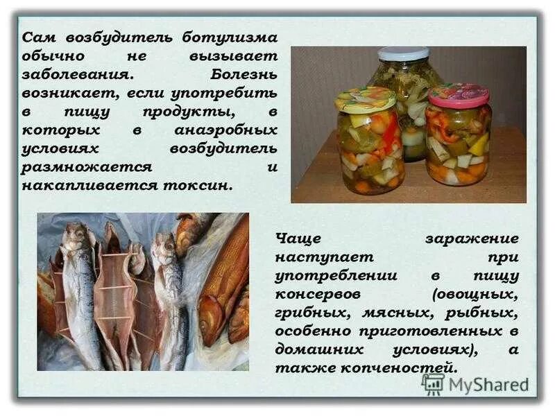 Ботулизм от каких продуктов возникает чаще симптомы. Ботулизм. ботулизм возбудитель продукты. источник ботулизма. источники ботулизма продукты.