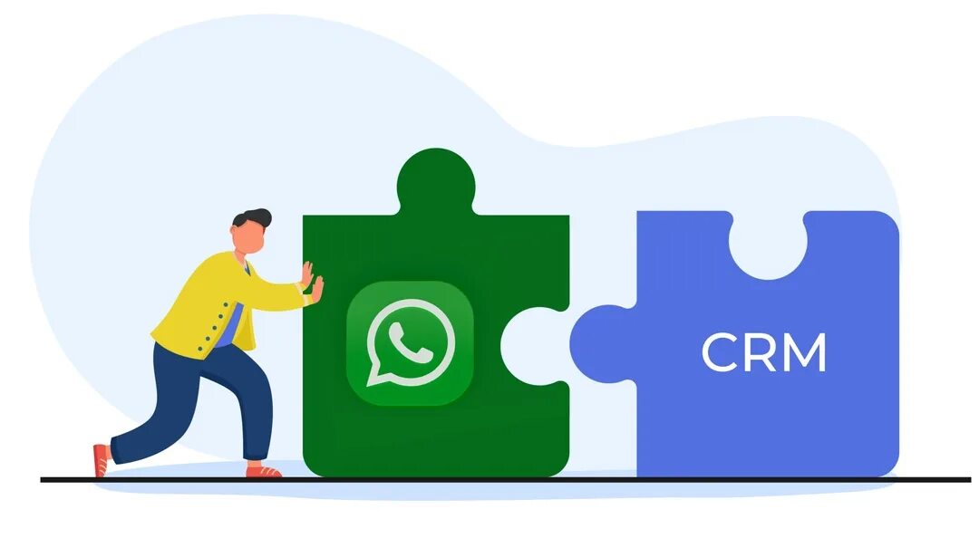 Crm ватсап. Crm ватсап