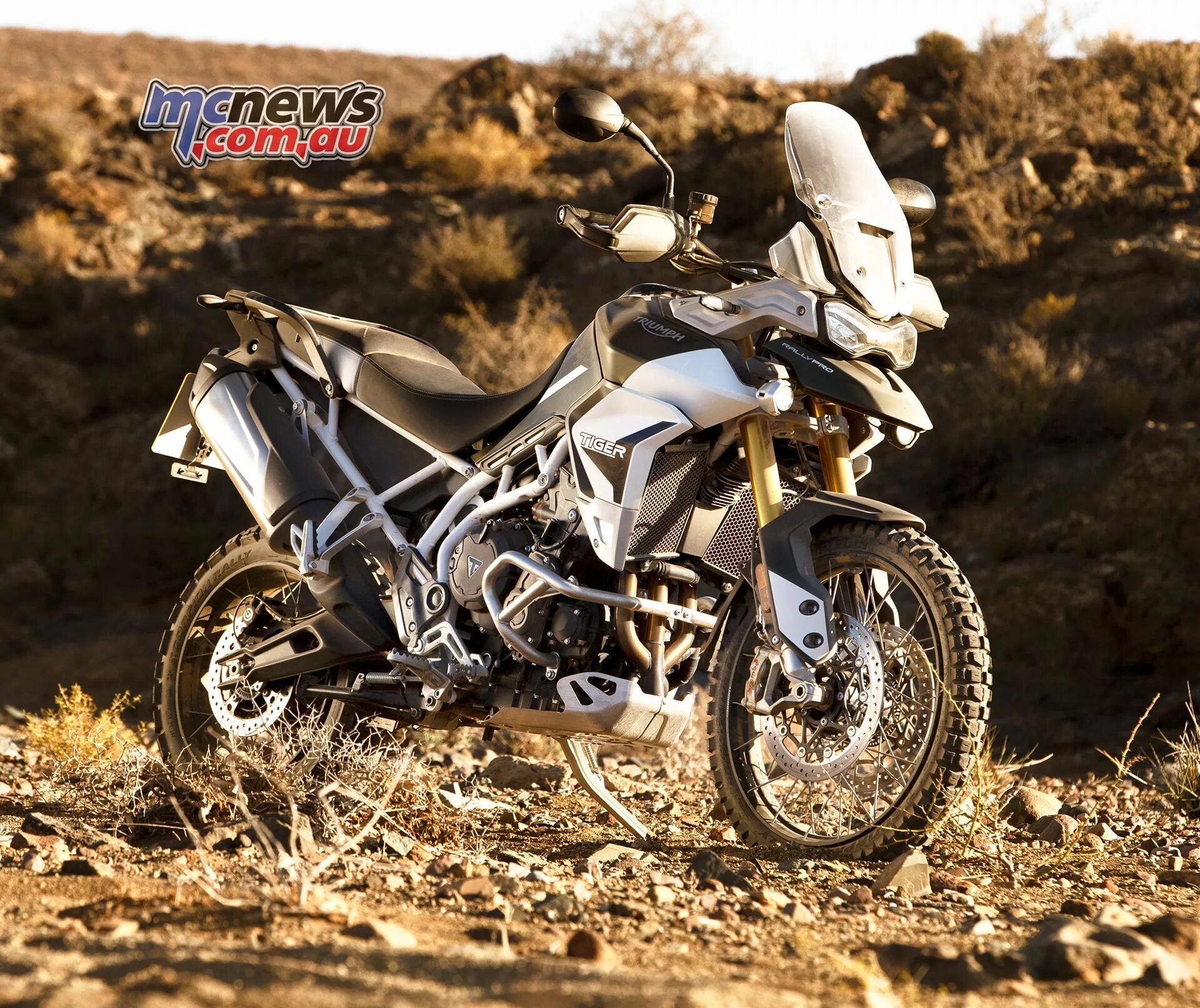 Triumph tiger 900 rally. Triumph rally pro 900 высота по седлу. Triumph tiger 900 gt. Triumph 900 rally. Триумф тайгер 900 ралли про.