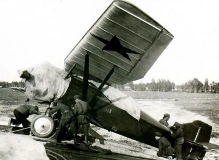 Ant 5