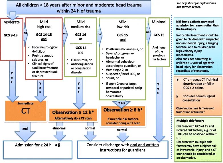 Trauma перевод. Eau Guidelines Trauma.