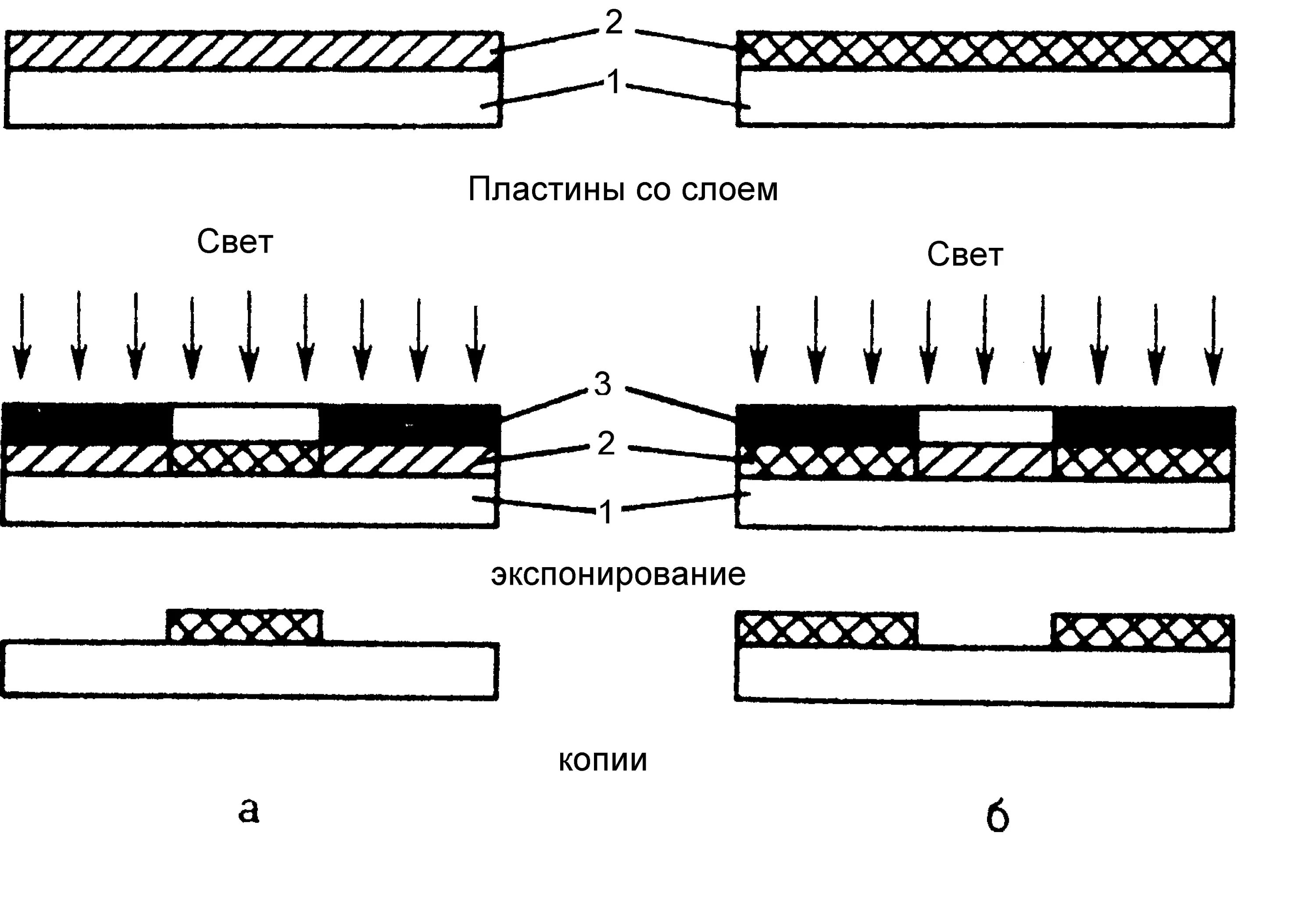 Разработка печатной формы