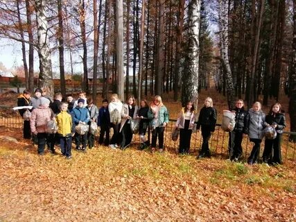 Гимназия г сосновки
