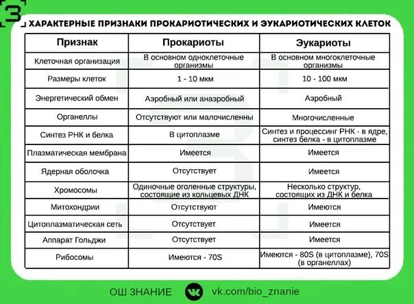 Различие клеток прокариот и эукариот таблица. Сравнительная характеристика прокариот и эукариот. Признаки прокариоты и эукариоты таблица. Сравнение клеток прокариот и эукариот таблица 10 класс биология.