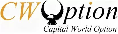 Option world