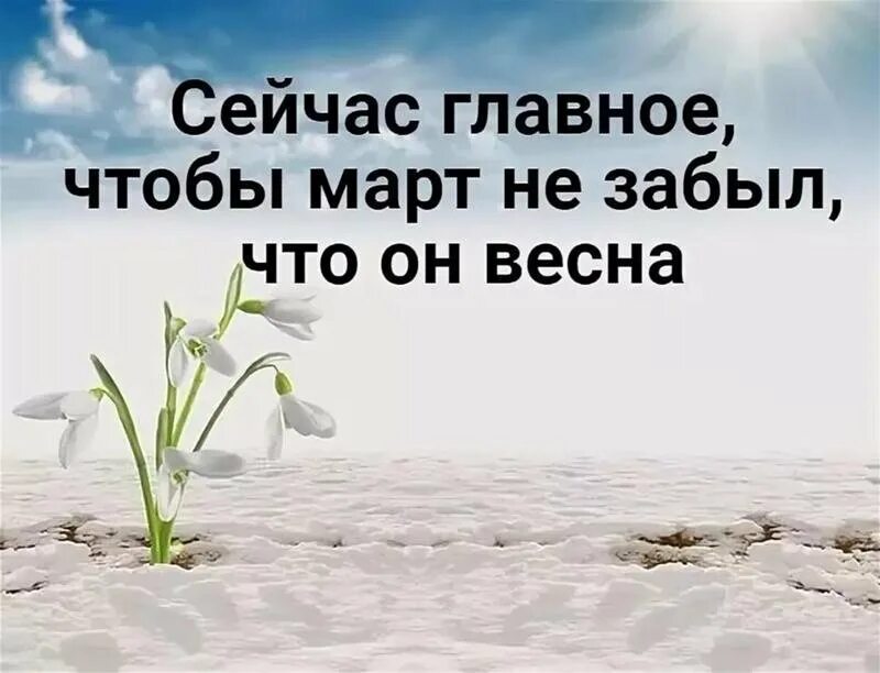 Каждую весну вот уже пятый год подряд