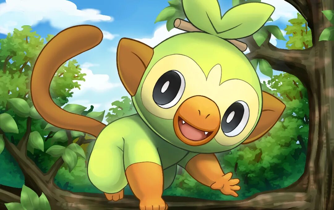 Груки. Grookey Pokemon. Риллабум покемон. Груки покемон. Покемон тваки.