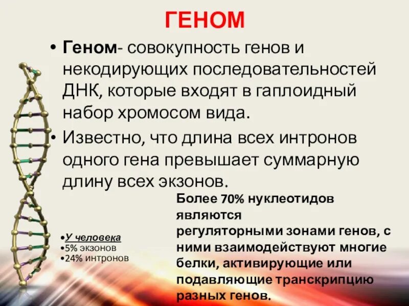 Ген биология 9 класс. Геном. Геном это в биологии. Гены это в биологии. Ген это в биологии.