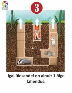 Hole id