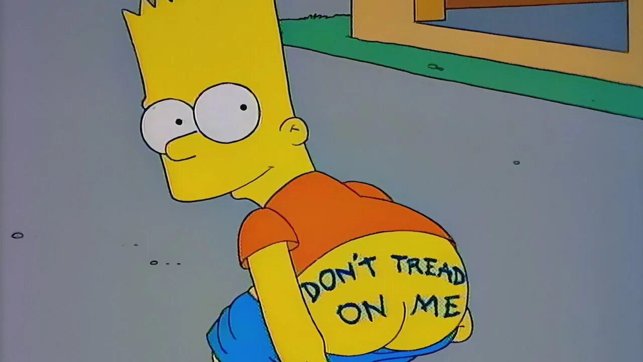Where are my shorts