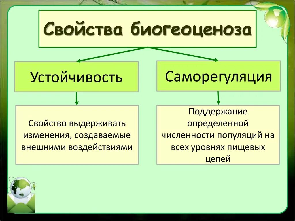 Примером биогеоценоза может служить организм человека