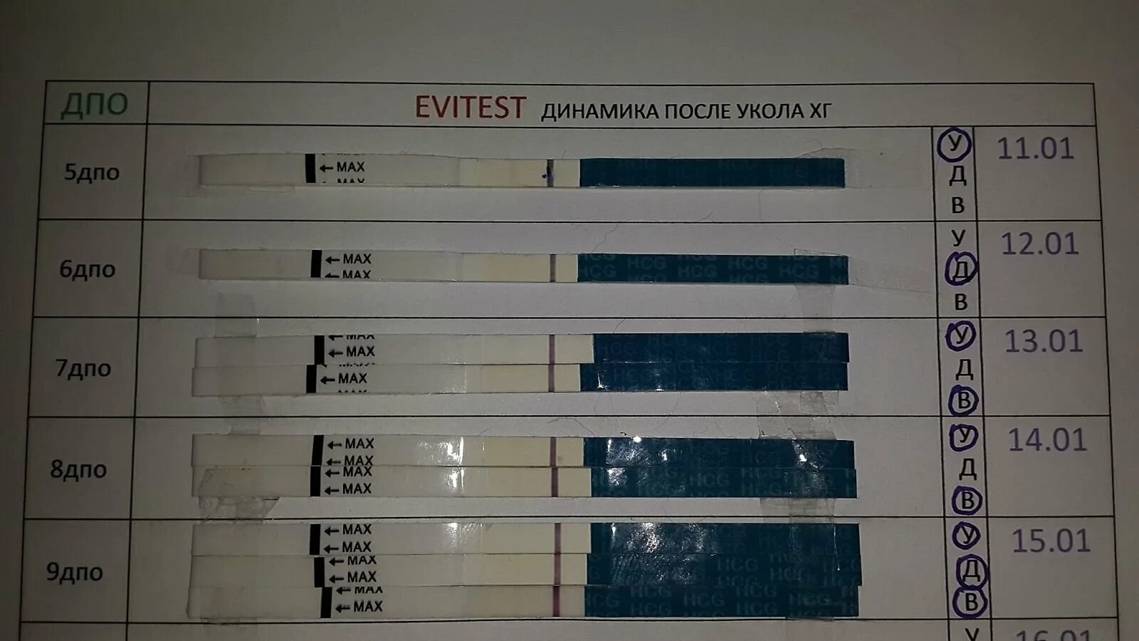 3 дпо отзывы