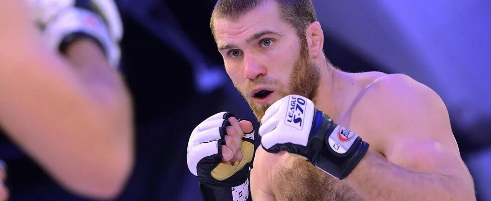 Мастер спорта по мма. Мастер спорта по единоборствам. Мастер спорта по единоборствам. Талисман для бойца. Мастер спорта по смешанным единоборствам.