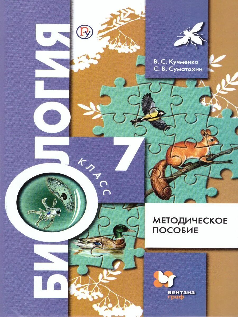 Тип 5 360