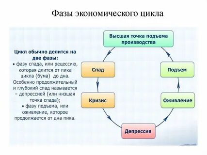 Цикл делится на