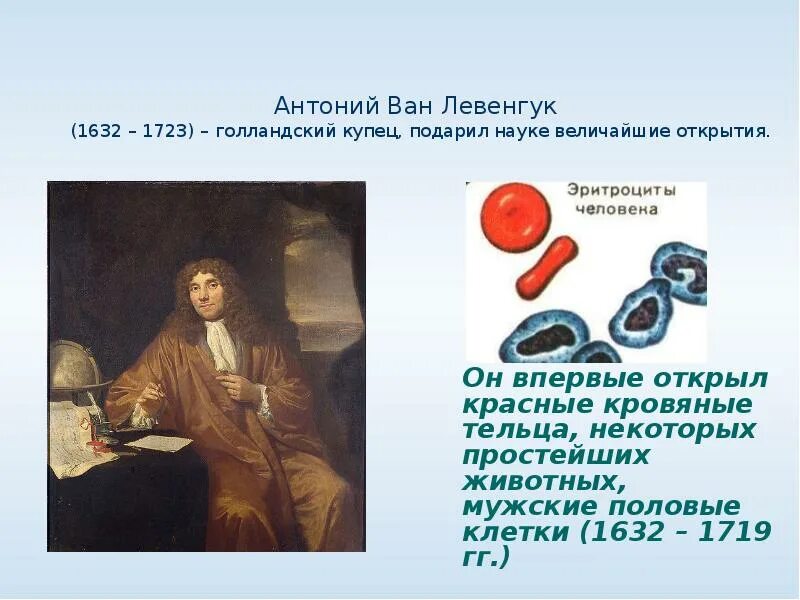 Голландец антони ван левенгук. Антони ван левенгук натуралист. Левенгук фото. Антонио ван левенгук вклад в биологию. Антони ван левенгук вклад в биологию.
