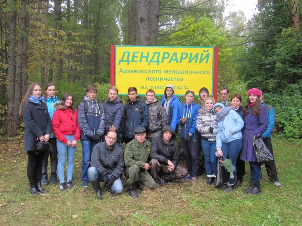 посадки леса ленобласть. арзамасское лесничество. арзамасское лесничество. 1. арзамасское лесничество.