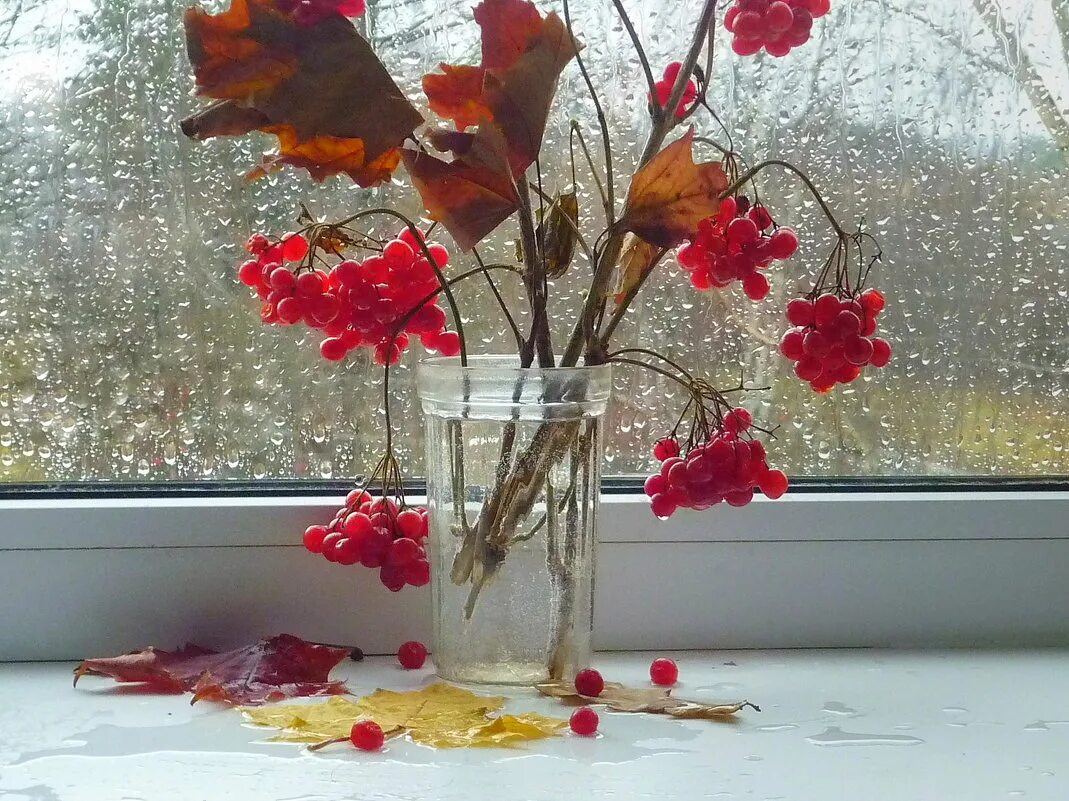 Листья на подоконнике. Осень дождь окно. Осень за окном. Осенние листья на окна. Осенние цветы на окне.